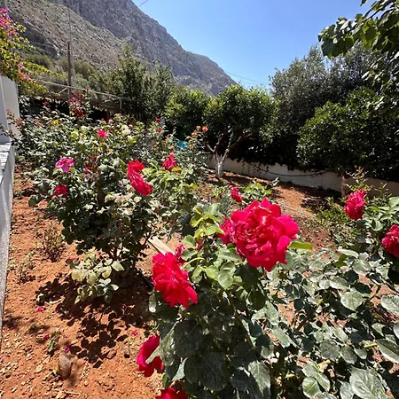 Kalotina's Apartament