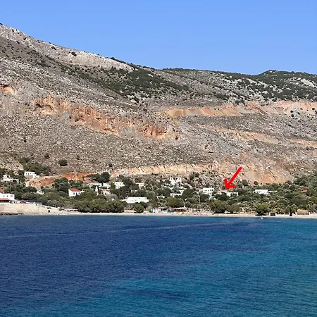 Kalotina's * Arginonda