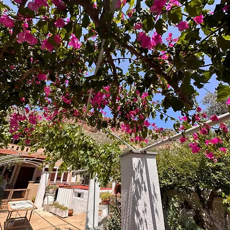 Kalotina's アパート