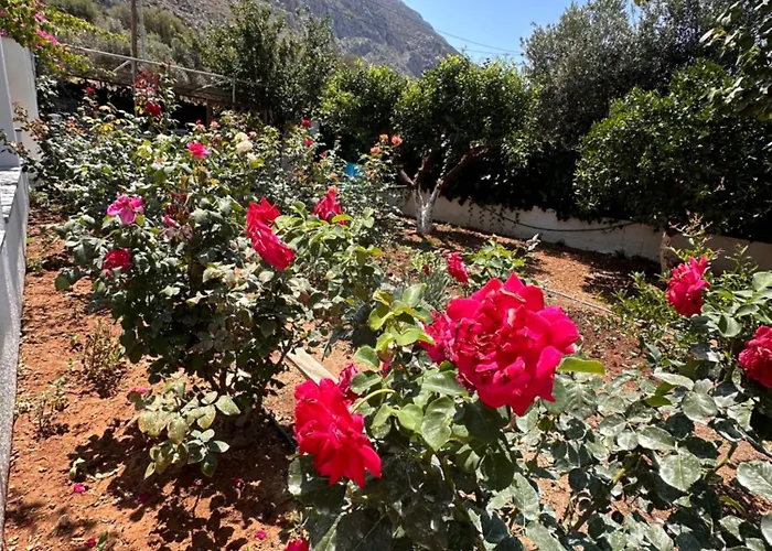 Kalotina's アパート