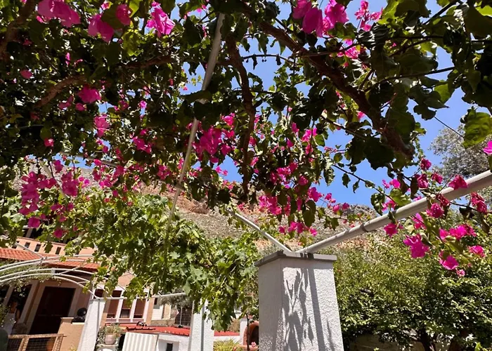 Kalotina's アパート